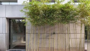 A modern building with a glass entrance and a bamboo plant in front. - Hongkou Silver Hotel (Tianjin)