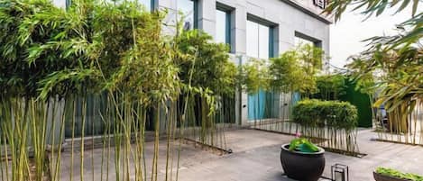 A building with a modern facade, a paved courtyard, and various plants.
