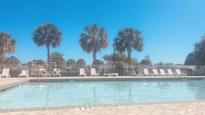 Ein Pool mit Liegestühlen und Palmen.