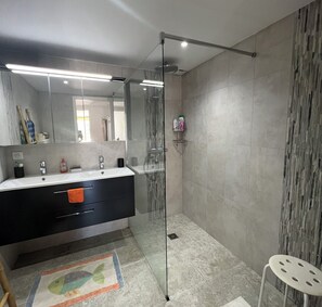 Shower, hair dryer, towels