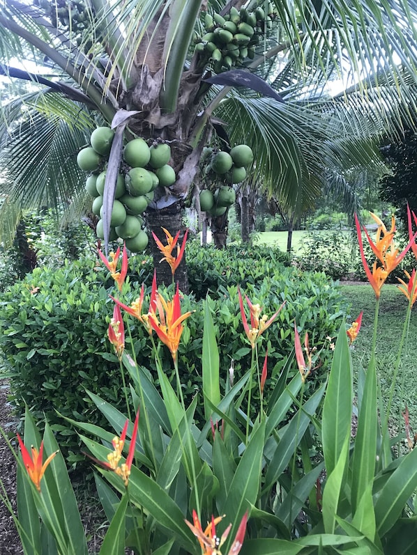 Overnattingsstedets uteområder