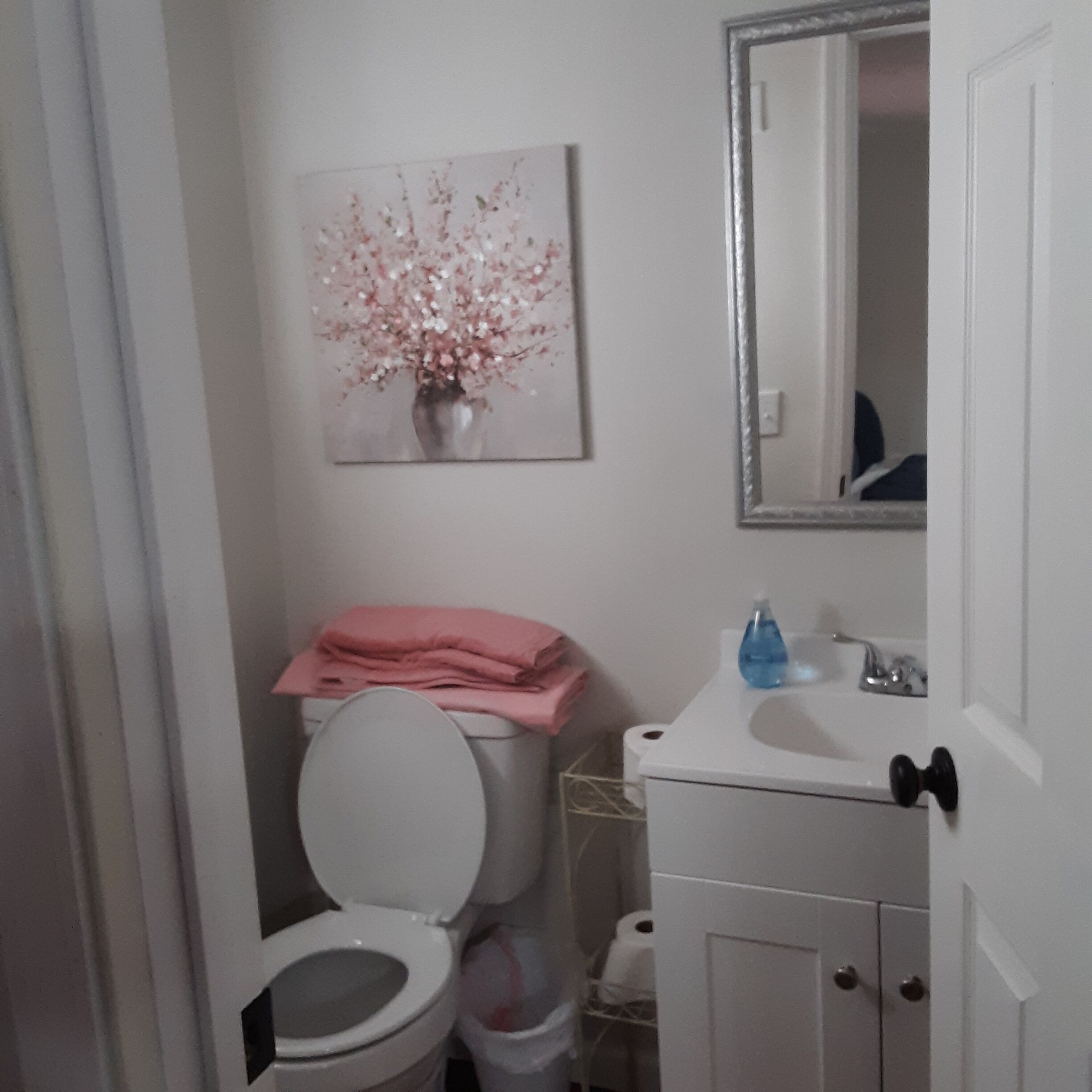 A bathroom with a toilet, sink, and mirror.