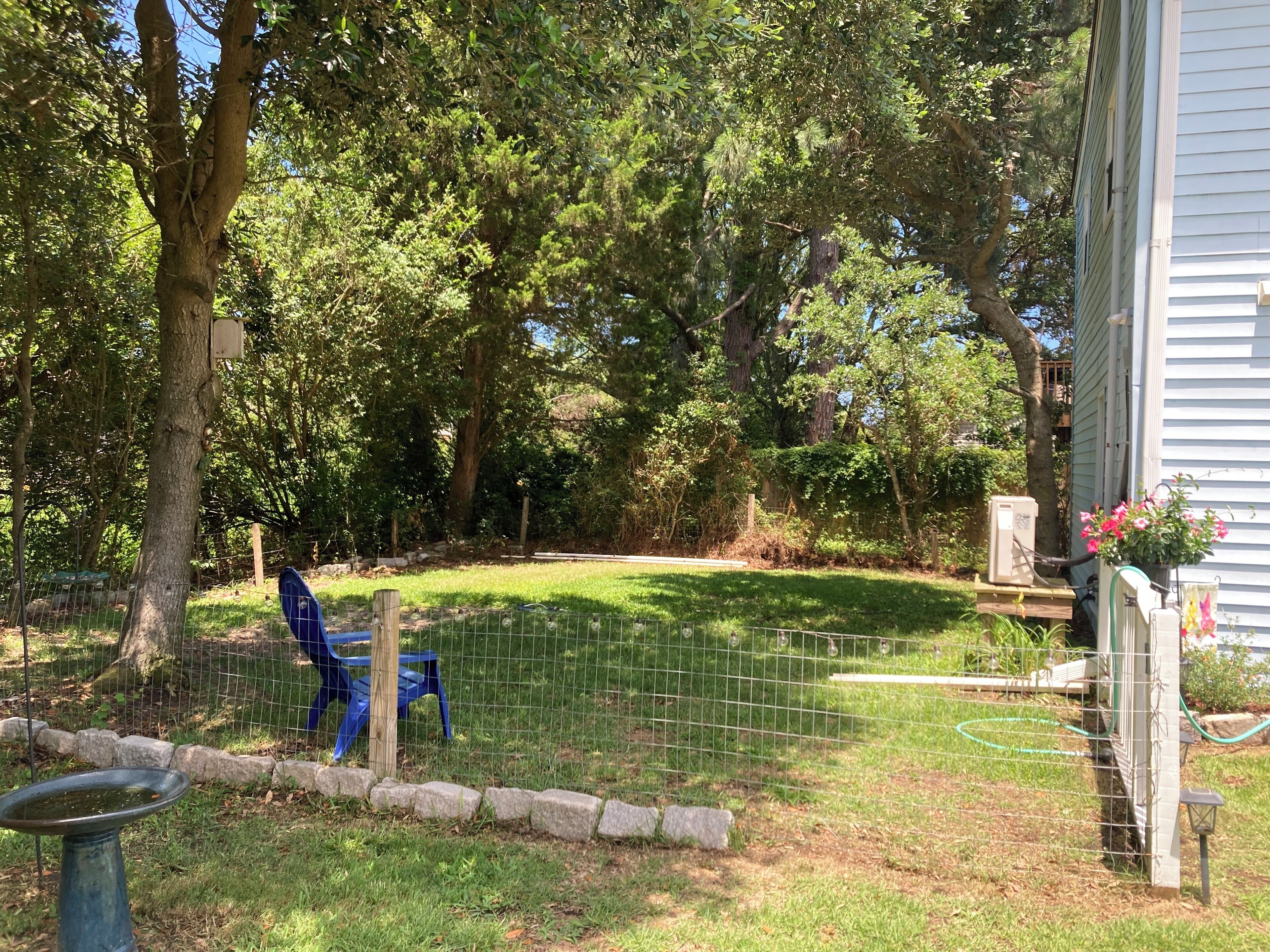 Un patio trasero cercado con un comedero para pájaros, una silla azul y una maceta con flores rosas.