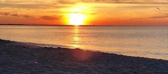 Cozy Coastal Retreat - Community Pool, Close to Lewes and Rehoboth Beaches