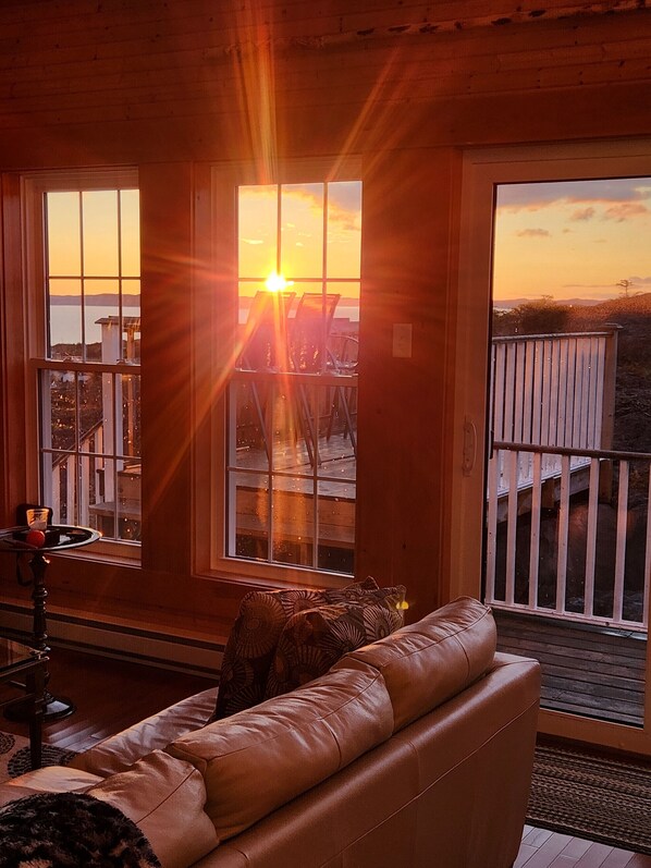 تلفزيون ذكي، مدفأة، مشغل دي في دي، مكتبة فيديو