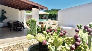 Ein Patio mit Pool, Gartenmöbeln und einer Kakteenpflanze.