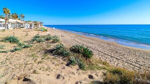 A beach with palm trees, a sandy shore, and a clear blue sky.