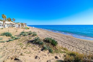 A beach with palm trees, a sandy shore, and a clear blue sky.