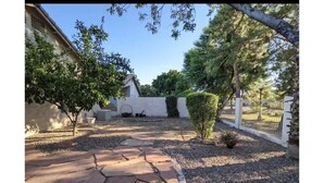 Un cortile lastricato con un vialetto in pietra, circondato da alberi e un recinto bianco.