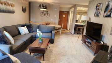 Älytelevisio, takka, DVD-soitin, kirjoja