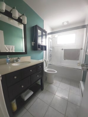 Hair dryer, towels, soap, shampoo