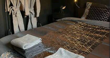 Escapade à Toulouse, sauna, jacuzzi, métro, parking.