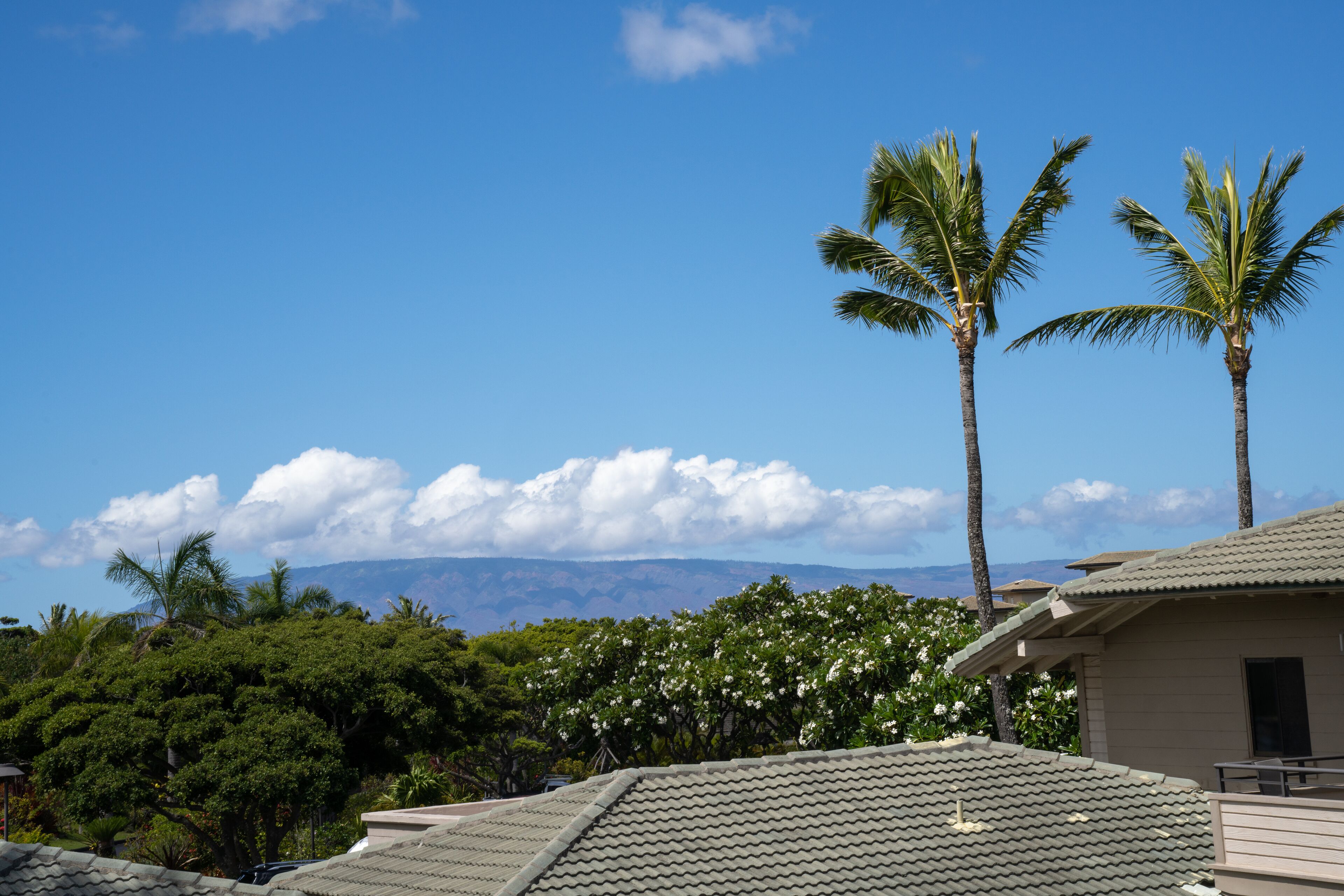 Unit 14B2 Kapalua Bay Villa Ocean View 1 Bdrm + lanai