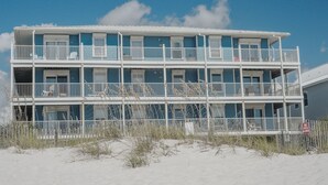Ett flervåningshotell vid stranden med balkonger och en skylt som säger att husdjur inte är tillåtna.
