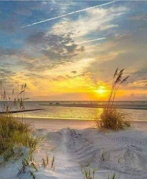 A beach scene with sand dunes, grasses, and a sunset over the ocean.