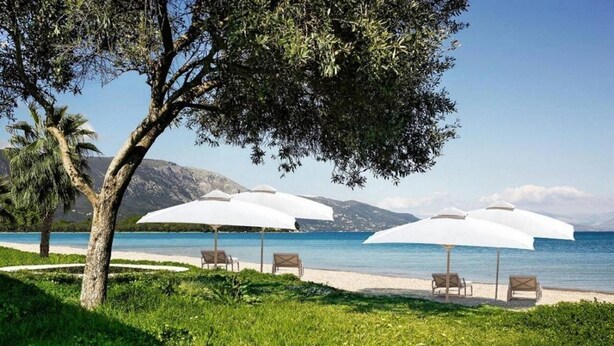 Une plage avec des parasols blancs et des chaises longues, un arbre et une montagne en arrière-plan.