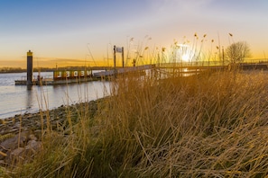 Une promenade au bord de la rivière, avec un pont, un panneau indicateur et de hautes herbes.
