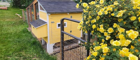 Área da propriedade