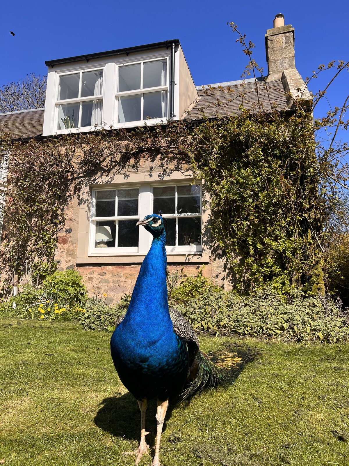 Bild für Gastgeberprofil