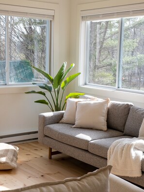 Smart TV, fireplace, books