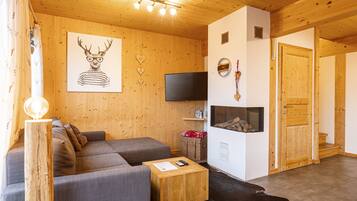 Télévision, cheminée, lecteur de DVD