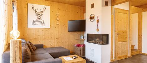 TV, fireplace, DVD player
