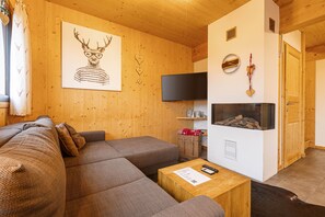 TV, fireplace, DVD player