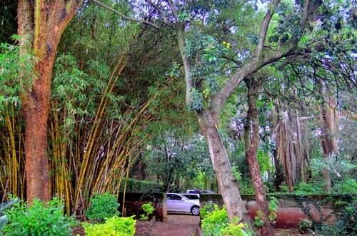 Tranquil one bedroom home in the woods! A walk to Two Rivers Mall.