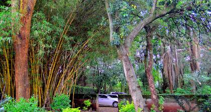 Tranquil one bedroom home in the woods! A walk to Two Rivers Mall.