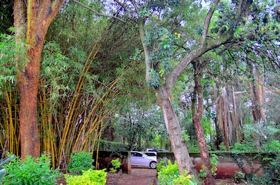 Tranquil one bedroom home in the woods! A walk to Two Rivers Mall.