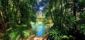 A tropical garden with a pool surrounded by dense foliage and a gazebo.
