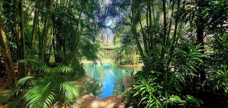 Outdoor pool. Paperbark Retreat