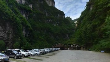 Free self parking