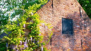 A rustic brick building with a small arched window and a chimney. - BoHo Experience - Jacuzzi, Sauna, BBQ, Garden, close to Amsterdam - Sleeps 10 (Kockengen)