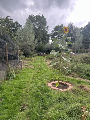 Property grounds - BoHo Summer House – light house for 10 guests, every bedroom with own bath (Kockengen)