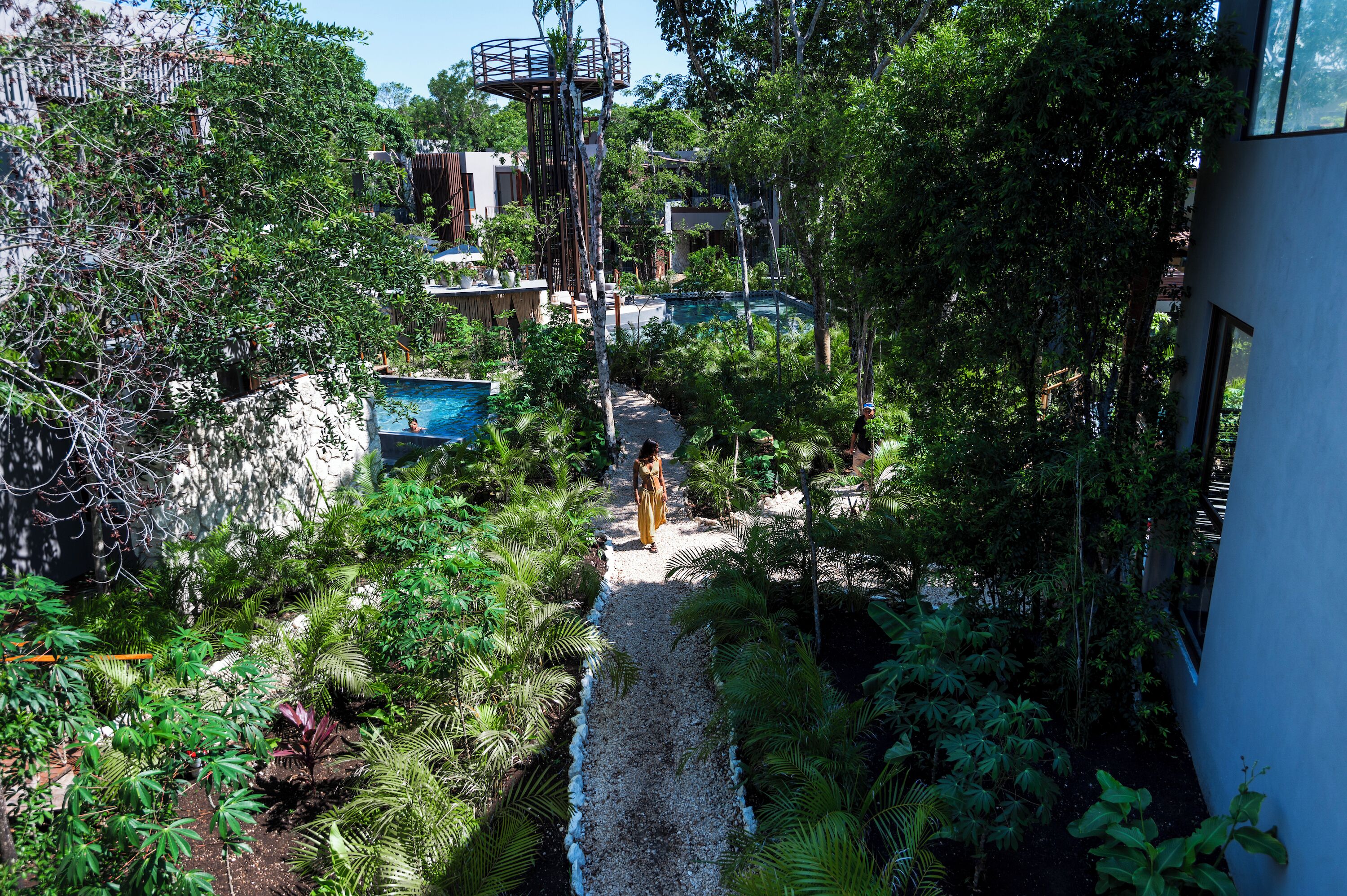 A lush garden with a pathway leading to a pool area, surrounded by dense foliage and modern architecture.