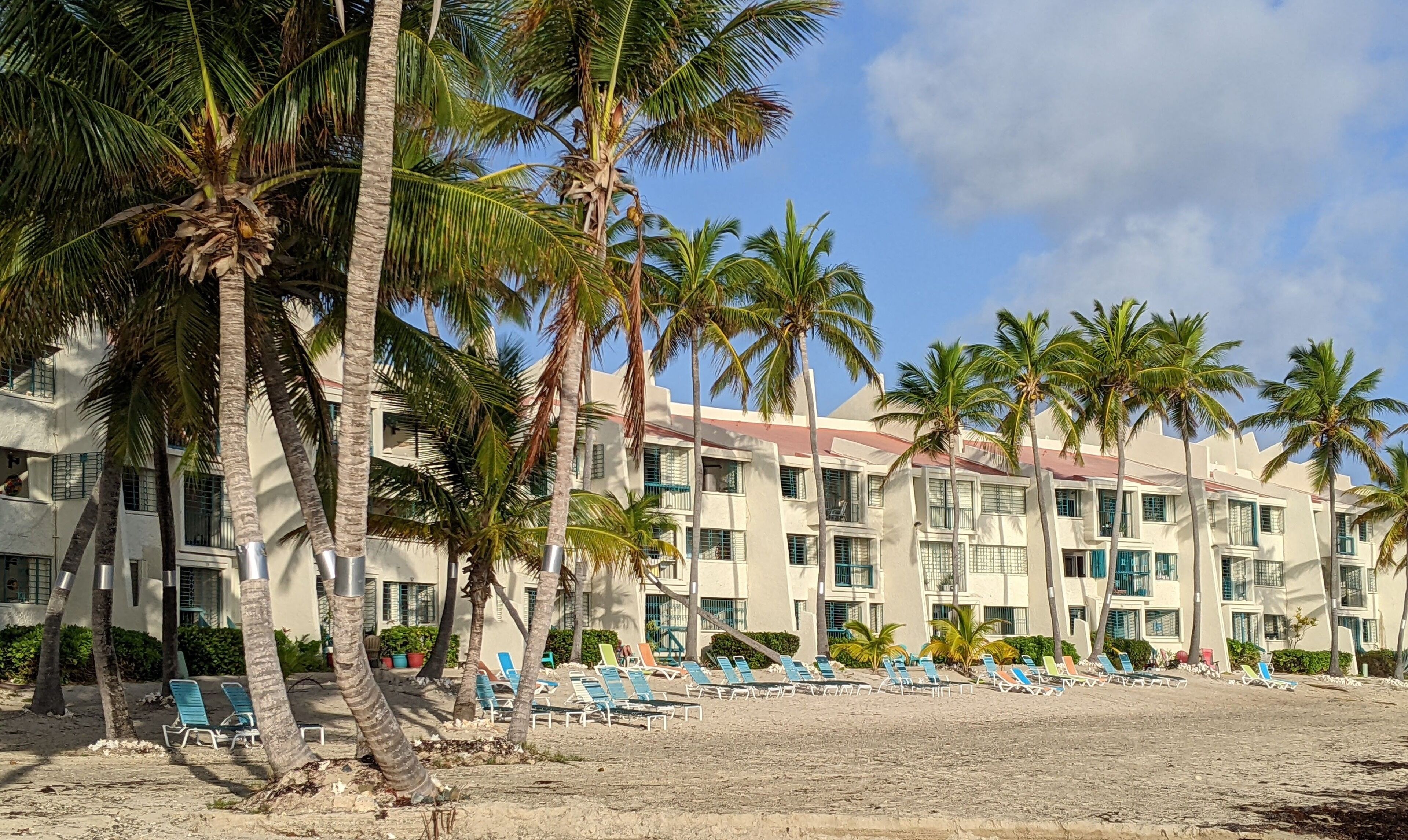 Un hôtel en bord de mer, avec plusieurs étages, des palmiers et des chaises longues sur la plage.