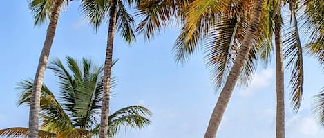 在海滩、沙滩椅、沙滩毛巾