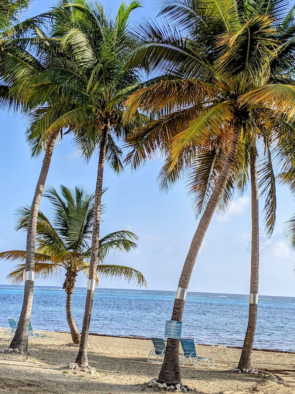 On the beach, sun loungers, beach towels - Walk out to the beach (Christiansted)