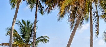 Walk out to the beach