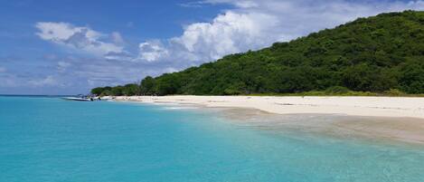 A beach with clear turquoise water, a sandy shore, and a forested hill in the background.
