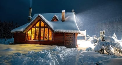 Cottage în the middle of forest for 11 people