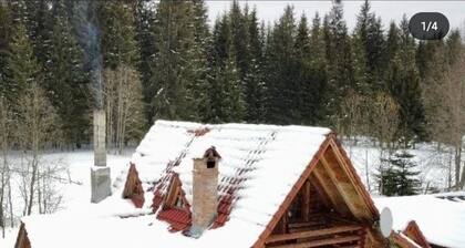 Cottage în the middle of forest for 11 people