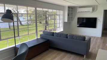 Smart TV, chimenea y libros