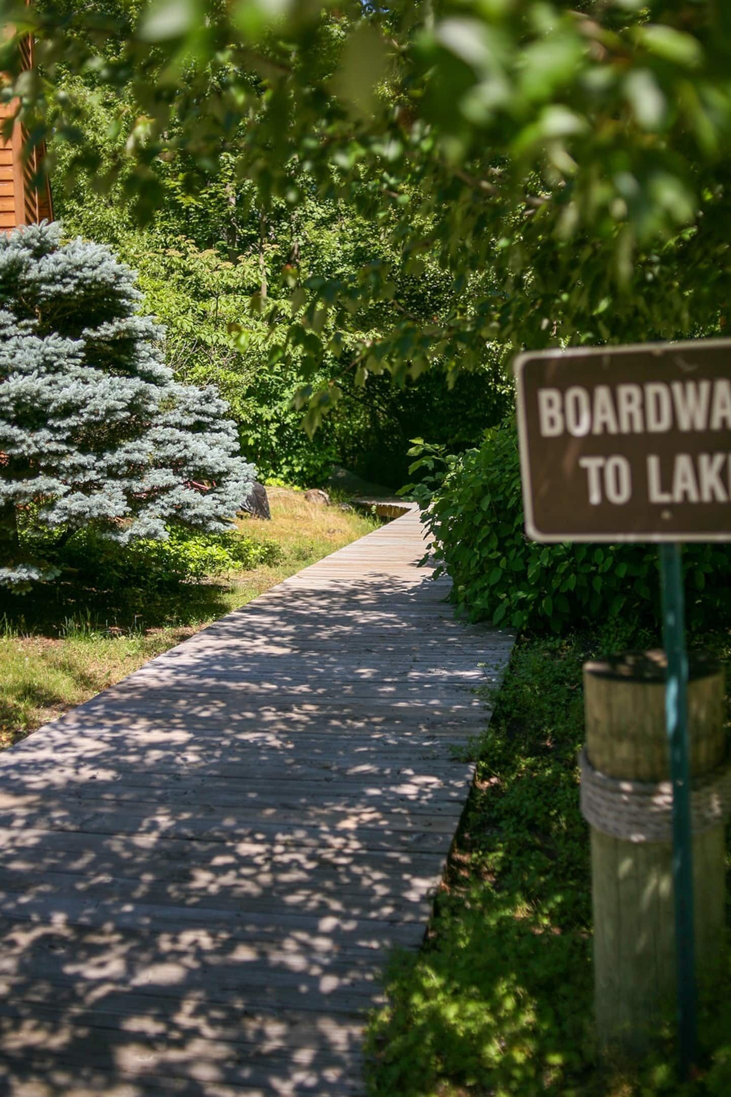 Un paseo marítimo que conduce a un lago, rodeado de abundante vegetación y árboles.