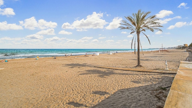 A sandy beach with a palm tree, ocean view, and a clear sky. - Lovely apartment in Campello (Campello)