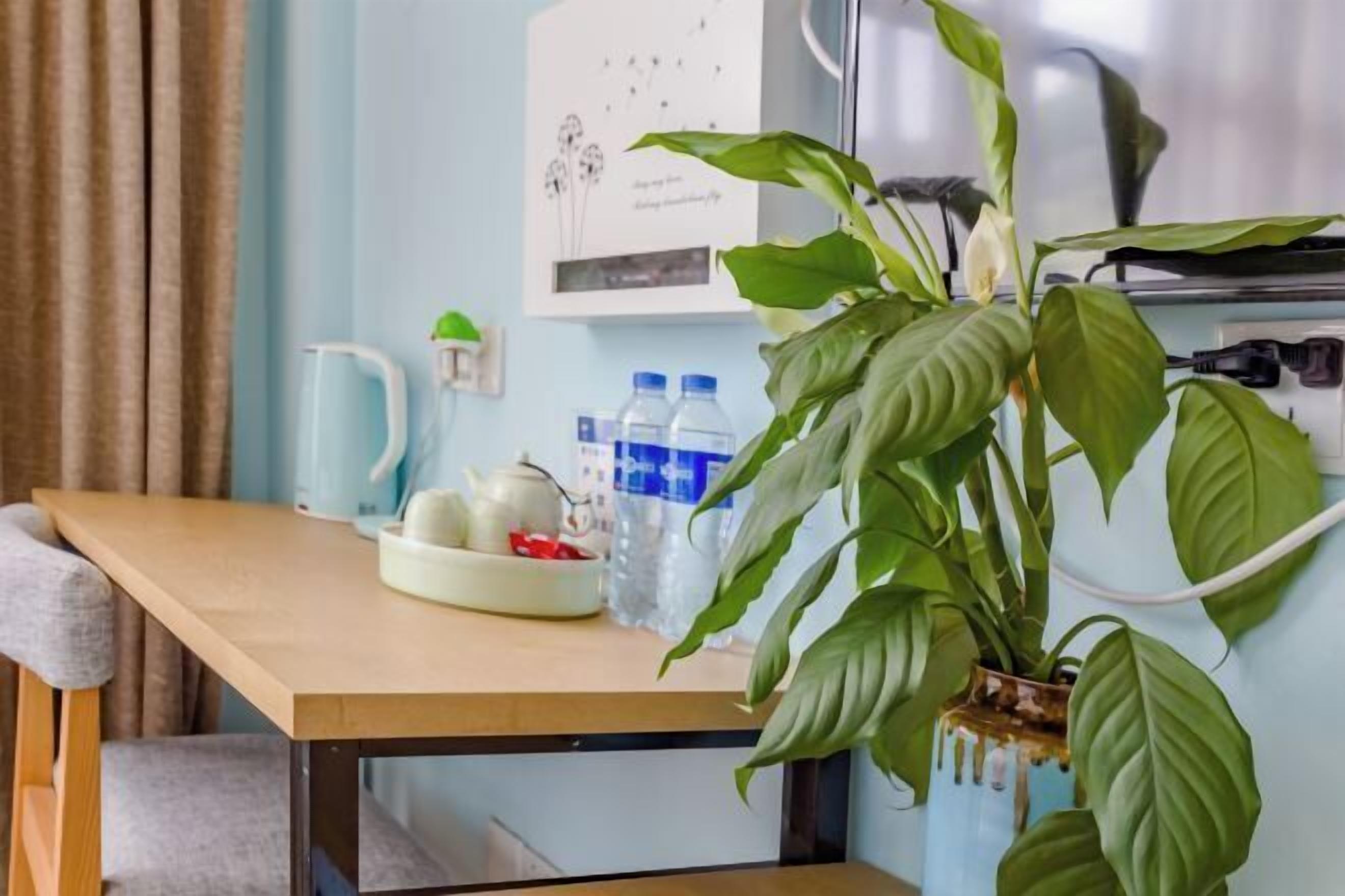 A kitchen area with a wooden table, a potted plant, a kettle, teapot, and bottled water.