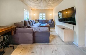 TV, fireplace - Cozy home in Hishult with kitchen (Hishult)