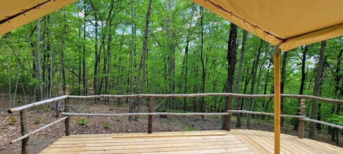 Forest is for rest,  Quiet and private location in the mountains Forrest Cump.