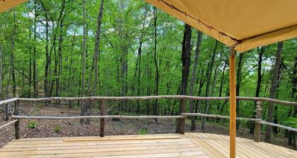 Forest is for rest, Quiet and private location in the mountains Forrest Cump.